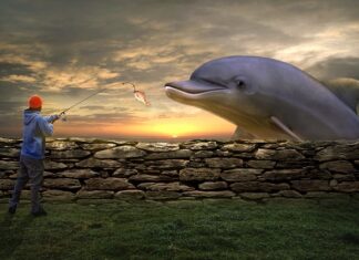 Jaką grubość żyłki na spławik?