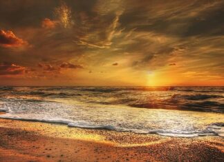 Jak nosić Złoty znak związku?