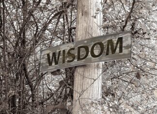 Ile wynosi stypendium za medal olimpijski?