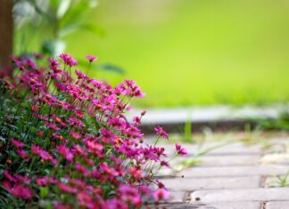 Co łowić w lipcu z plaży?