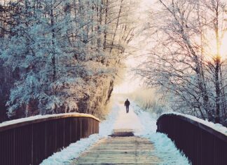 Co ile dni trzeba sprzątać klatkę królika?