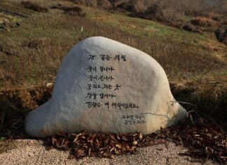 Czy zeolit zatwardza wodę?