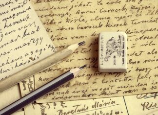 Co do ścierania zębów dla królika?